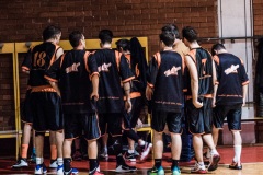 2015.11.18 - tigers milano