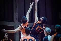 2015.11.18 - tigers milano
