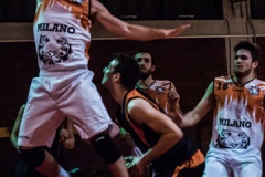 2015.11.18 - tigers milano