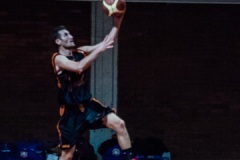 2015.11.18 - tigers milano
