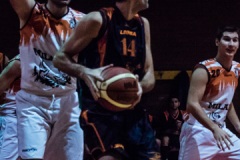 2015.11.18 - tigers milano